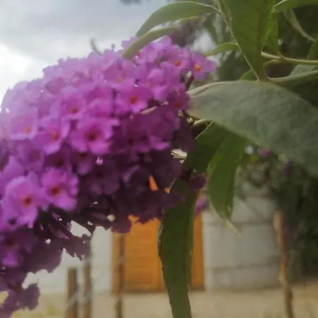 Jurta Campo de lujo Balatongyörök