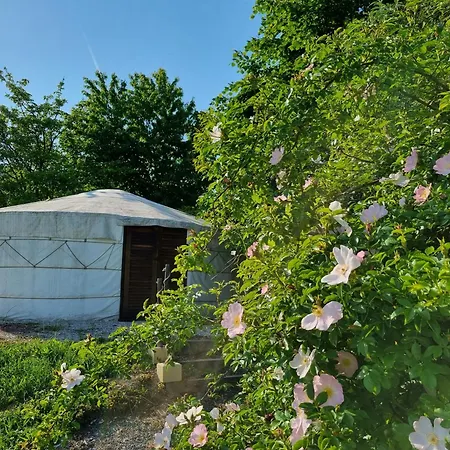 Luxury tent Jurta